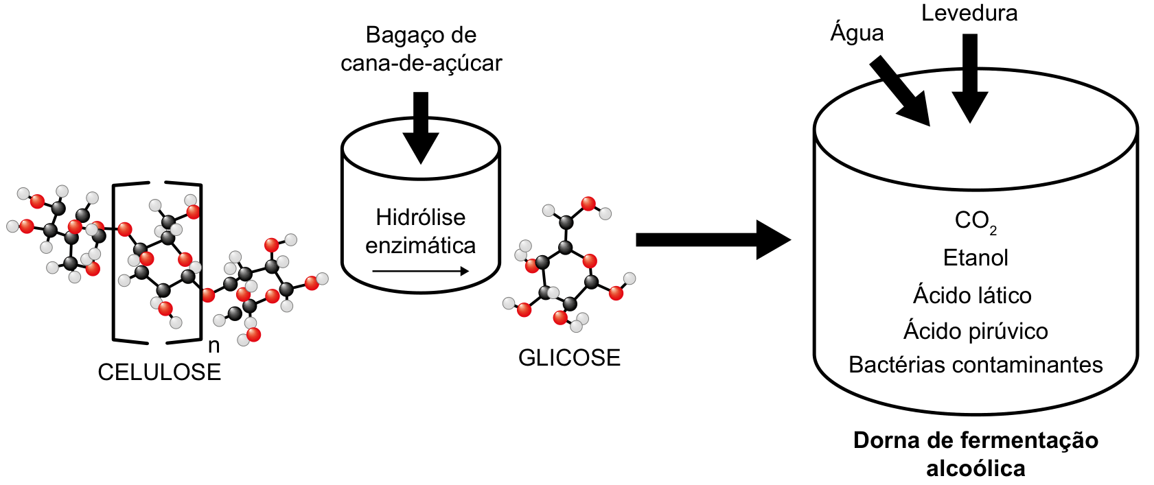 Esquema do processo de produção de etanol de segunda geração: representação estrutural da celulose que, a partir do bagaço de cana-de-açúcar, passa por hidrólise enzimática gerando glicose. A glicose é enviada para a dorna de fermentação alcoólica, onde são adicionadas água e levedura, e encontram-se indicados CO₂, etanol, ácido lático, ácido pirúvico e bactérias contaminantes.