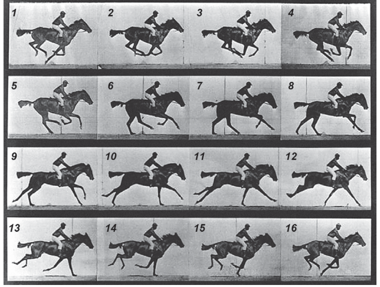 Sequência de 16 fotografias dispostas em quatro linhas e quatro colunas, numeradas de 1 a 16, registrando sucessivas etapas do galope de um cavalo montado por um jóquei.
