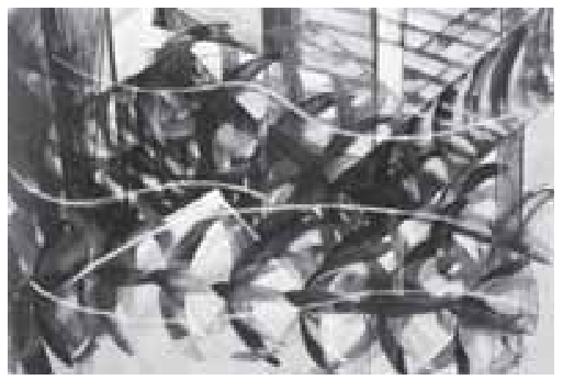 Pintura "Voo de andorinhas", de Giacomo Balla, que representa a trajetória de voo de andorinhas por meio de repetições e sobreposições sequenciais de suas silhuetas em tons escuros e claros, cortadas por linhas curvas que indicam o movimento.