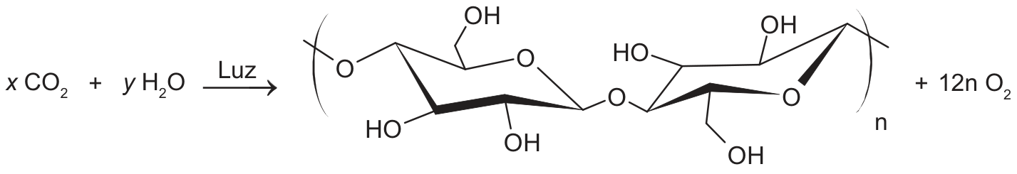 Esquema da equação química da fotossíntese com reagentes x CO2 e y H2O, sob ação de Luz, formando uma unidade polimérica de carboidrato com grau de polimerização n, mais 12n O2