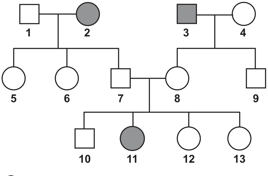F1 Heredograma de três gerações. Os indivíduos 1 (homem sem anomalia) e 2 (mulher com anomalia) são pais de 5 (mulher sem anomalia), 6 (mulher sem anomalia) e 7 (homem sem anomalia). Os indivíduos 3 (homem com anomalia) e 4 (mulher sem anomalia) são pais de 8 (mulher sem anomalia) e 9 (homem sem anomalia). Os indivíduos 7 e 8 são pais de 10 (homem sem anomalia), 11 (mulher com anomalia), 12 (mulher sem anomalia) e 13 (mulher sem anomalia).