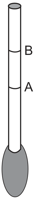 Esquema de um densímetro feito com um canudinho e uma base de massa de modelar. No canudinho, a marca B está acima da marca A.