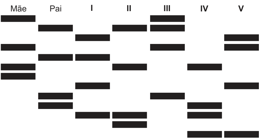 Perfil de bandas de DNA em eletroforese mostrando as colunas correspondentes à Mãe, ao Pai e a cinco jovens identificados pelos algarismos romanos de I a V.