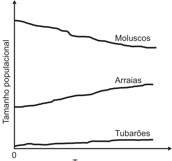 Gráfico de tamanho populacional em função do tempo mostrando a curva de moluscos decrescente, de arraias crescente e de tubarões crescente.
