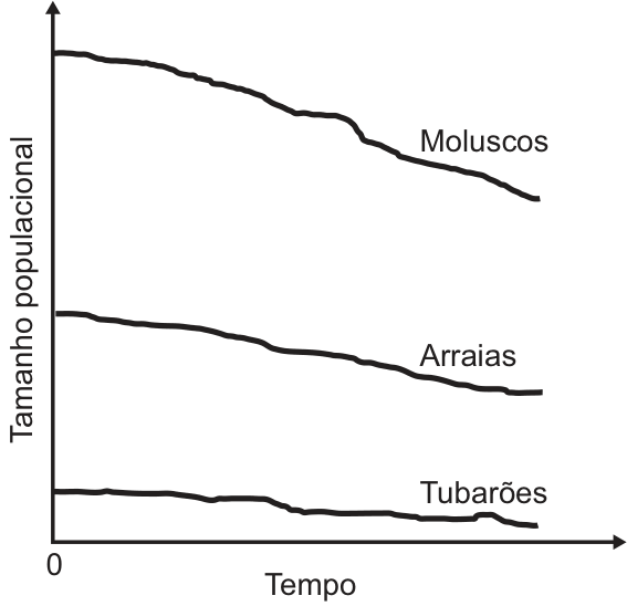 Gráfico de tamanho populacional em função do tempo mostrando as curvas de moluscos, arraias e tubarões decrescentes ao longo do tempo.