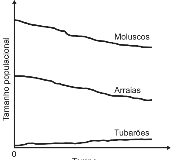 Gráfico de tamanho populacional em função do tempo mostrando as curvas de moluscos e arraias decrescentes e de tubarões crescente.