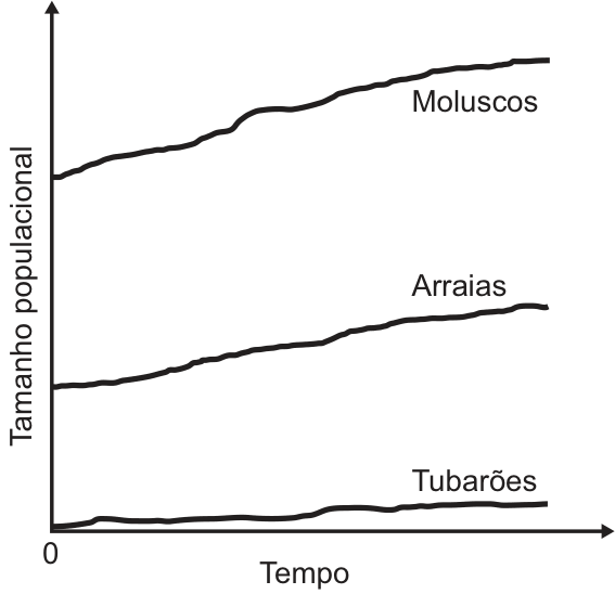 Gráfico de tamanho populacional em função do tempo mostrando as curvas de moluscos, arraias e tubarões crescentes ao longo do tempo.