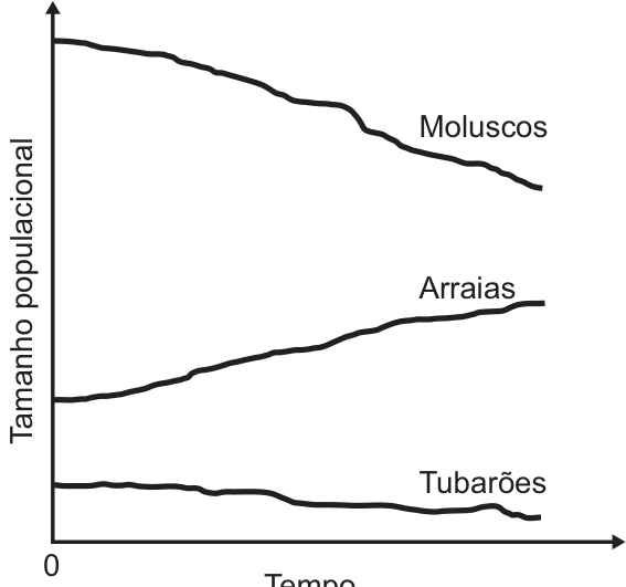 Gráfico de tamanho populacional em função do tempo mostrando as curvas de moluscos decrescente, de arraias crescente e de tubarões decrescente.