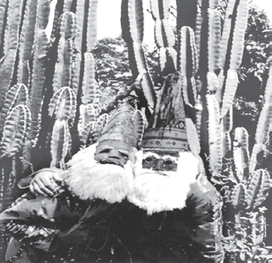 Fotografia "Folia de Reis", de Rosa Gauditano, retratando dois participantes mascarados com barbas brancas e chapéus cônicos ornamentados, posicionados em frente a uma vegetação de cactos.