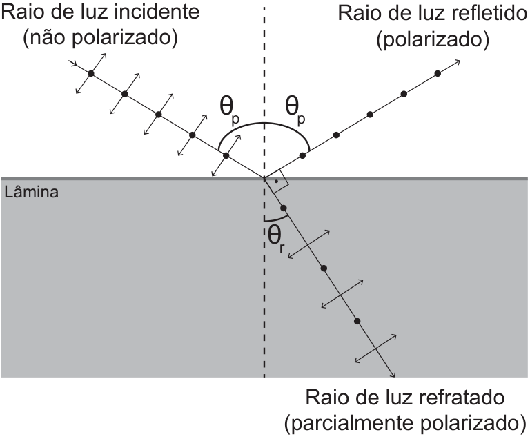 Diagrama de incidência, reflexão e refração da luz em uma lâmina de superfície horizontal, representada por uma região cinza. Uma normal tracejada vertical passa pelo ponto de incidência. O “Raio de luz incidente (não polarizado)” vem do alto à esquerda, e o “Raio de luz refletido (polarizado)” segue para o alto à direita; ambos fazem ângulos θ_p com a normal. O “Raio de luz refratado (parcialmente polarizado)” segue para baixo à direita dentro da região marcada “Lâmina”, formando um ângulo θ_r com a normal. Um marcador de ângulo reto indica que os raios refletido e refratado são perpendiculares. Pontos e pequenas setas transversais ao longo dos raios representam suas polarizações.