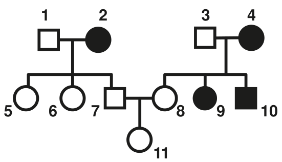 Heredograma com indivíduos numerados de 1 a 11. Na primeira geração, o casal 1 e 2 gera as filhas 5 e 6 e o filho 7; o casal 3 e 4 gera a filha 8, a filha 9 e o filho 10. Da união entre 7 e 8, nasce a filha 11.