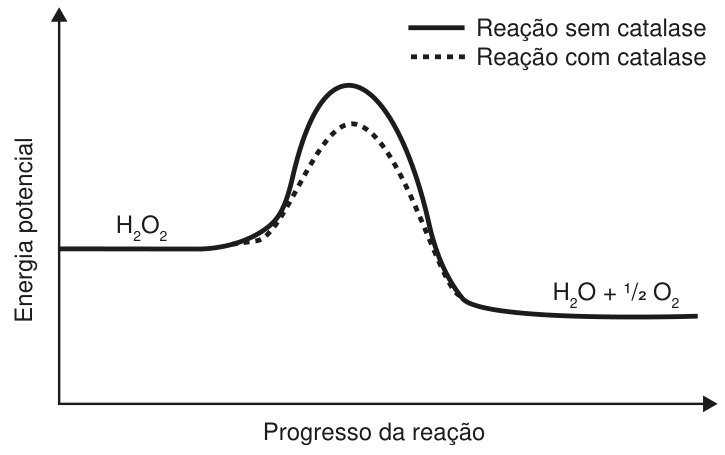 Gráfico de energia potencial versus progresso da reação para a decomposição do peróxido de hidrogênio. A curva com linha contínua representa a reação sem catalase, apresentando um pico de energia de ativação mais alto, enquanto a curva tracejada representa a reação com catalase, apresentando um pico de energia de ativação mais baixo. Ambas partem do reagente H2O2 e terminam nos produtos H2O + 1/2 O2 com os mesmos níveis de energia inicial e final.