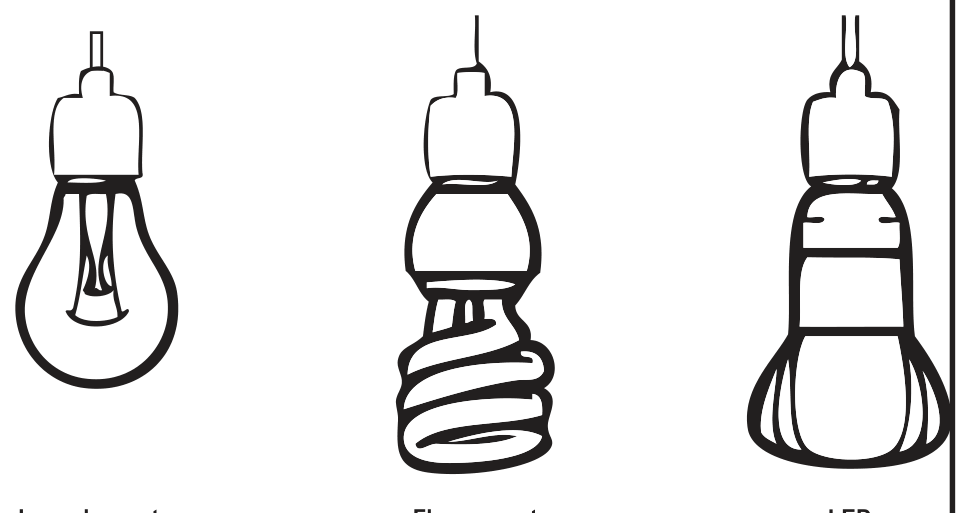 Ilustração de três tipos de lâmpadas penduradas: lâmpada incandescente com filamento visível, lâmpada fluorescente compacta em formato espiral e lâmpada LED.