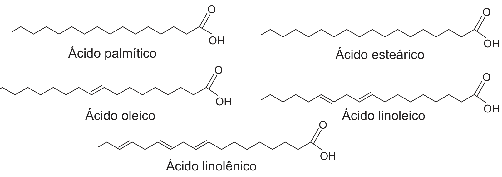 Fórmulas estruturais de cinco ácidos graxos: ácido palmítico (saturado), ácido esteárico (saturado), ácido oleico (monoinsaturado, com uma ligação dupla), ácido linoleico (di-insaturado, com duas ligações duplas) e ácido linolênico (tri-insaturado, com três ligações duplas).