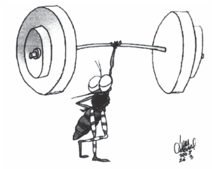 Charge mostrando um mosquito da dengue (Aedes aegypti) levantando, com apenas uma pata, uma barra pesada com grandes anilhas de peso.