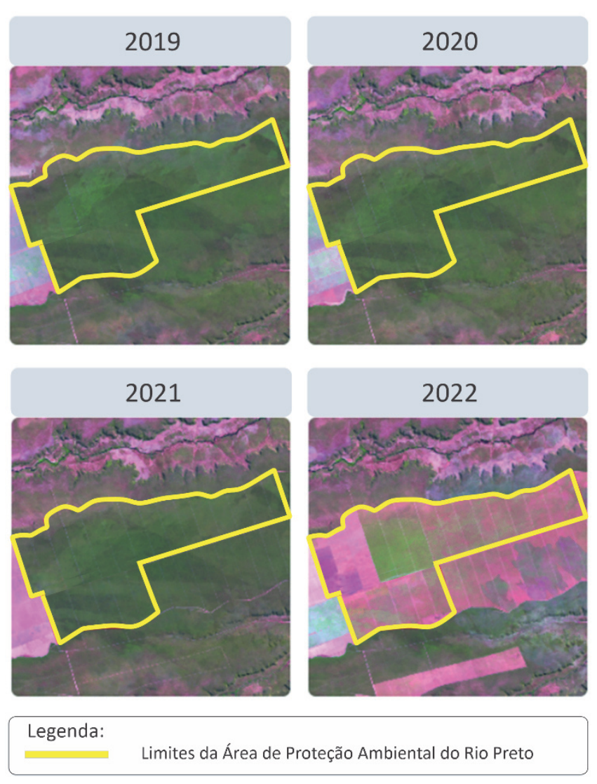 F1 Série temporal de imagens de satélite dos anos de 2019, 2020, 2021 e 2022 mostrando a supressão da vegetação (áreas em tom magenta) dentro e no entorno do polígono amarelo que delimita a Área de Proteção Ambiental do Rio Preto.