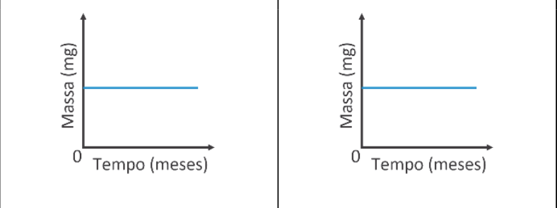Dois gráficos lado a lado, correspondentes ao ferro, à esquerda, e ao aço inoxidável, à direita. Em ambos, o eixo vertical indica Massa (mg), o horizontal indica Tempo (meses) e a origem está marcada com 0. As duas linhas azuis são horizontais, indicando massas constantes ao longo do tempo.