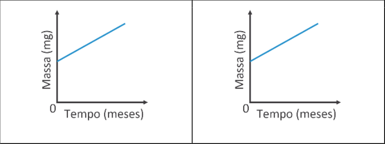 Dois gráficos lado a lado, correspondentes ao ferro, à esquerda, e ao aço inoxidável, à direita. Em ambos, o eixo vertical indica Massa (mg), o horizontal indica Tempo (meses) e a origem está marcada com 0. As duas linhas azuis são retas crescentes, partindo de massas positivas e indicando aumento das massas ao longo do tempo.