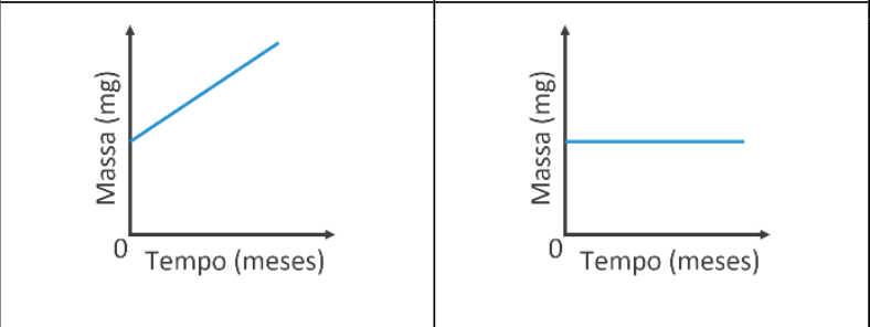 Dois gráficos lado a lado, correspondentes ao ferro, à esquerda, e ao aço inoxidável, à direita. Em ambos, o eixo vertical indica Massa (mg), o horizontal indica Tempo (meses) e a origem está marcada com 0. No gráfico do ferro, a linha azul é uma reta crescente, partindo de uma massa positiva. No gráfico do aço inoxidável, a linha azul é horizontal, indicando massa constante.