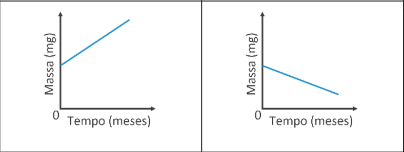 Dois gráficos lado a lado, correspondentes ao ferro, à esquerda, e ao aço inoxidável, à direita. Em ambos, o eixo vertical indica Massa (mg), o horizontal indica Tempo (meses) e a origem está marcada com 0. No gráfico do ferro, a linha azul é uma reta crescente, partindo de uma massa positiva. No gráfico do aço inoxidável, a linha azul é uma reta decrescente, permanecendo acima de zero.