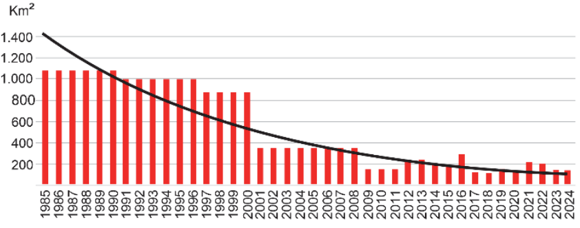 F1 Gráfico de barras vermelhas da área de desmatamento entre 1985 e 2024, com os anos indicados no eixo horizontal e o eixo vertical identificado por Km², com marcações de 200 a 1.400, em intervalos de 200. As barras apresentam valores próximos de 1.100 nos primeiros anos, cerca de 1.000 de 1991 a 1996, cerca de 880 de 1997 a 2000 e cerca de 350 de 2001 a 2008. A partir de 2009, os valores são menores, com oscilações e elevações em anos como 2013, 2016, 2021 e 2022. Uma curva preta de tendência decrescente vai de aproximadamente 1.400 em 1985 a cerca de 100 em 2024.