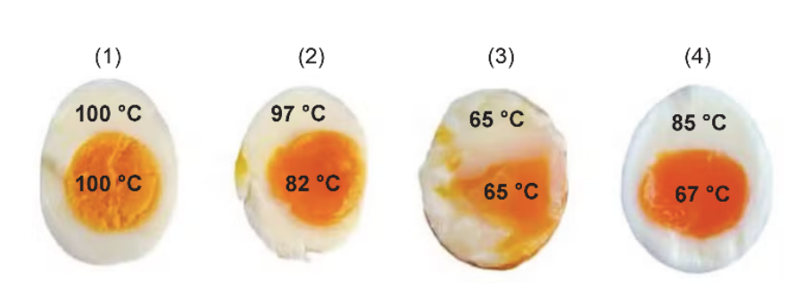 F1 Quatro metades de ovos cozidos segundo diferentes métodos, indicando as temperaturas finais da clara e da gema: (1) clara a 100 °C e gema a 100 °C; (2) clara a 97 °C e gema a 82 °C; (3) clara a 65 °C e gema a 65 °C; (4) clara a 85 °C e gema a 67 °C.