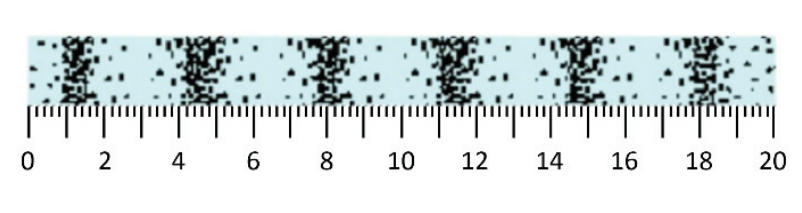 Imagem digitalizada de grãos de areia distribuídos na base de uma canaleta horizontal, alinhada a uma régua graduada de 0 a 20 cm, mostrando acúmulos periódicos de areia ao longo da extensão.