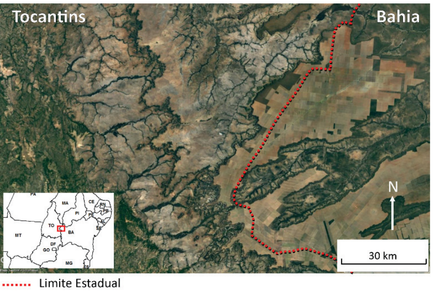 F1 Imagem de satélite da região de fronteira entre os estados do Tocantins e da Bahia. À esquerda (Tocantins), observa-se relevo dissecado com vales e cursos d'água; à direita (Bahia), no topo plano do chapadão, destacam-se grandes talhões geométricos de monocultura. Uma linha pontilhada vermelha demarca o limite estadual. No canto inferior esquerdo há um mapa de localização regional destacando o ponto da divisa; no canto inferior direito, a indicação do norte (N) e uma barra de escala gráfica de 30 km.
