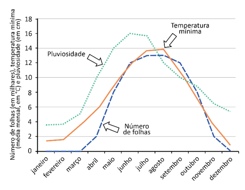 Gráfico de linhas mostrando, de janeiro a dezembro, três curvas: Pluviosidade (linha pontilhada verde), Temperatura mínima (linha contínua laranja) e Número de folhas (linha tracejada azul). O eixo vertical representa "Número de folhas (em milhares), temperatura mínima (média mensal, em °C) e pluviosidade (em cm)", graduado de 0 a 18 de 2 em 2. A pluviosidade parte de quase 4 cm em janeiro-fevereiro, sobe até 16 cm em junho e declina até cerca de 5,5 cm em dezembro. A temperatura mínima começa próxima de 1,5 °C em janeiro-fevereiro, atinge cerca de 14 °C em julho-agosto e cai para menos de 1 °C em dezembro. O número de folhas permanece em 0 de janeiro a março, sobe a partir de abril até atingir 13 mil em julho-agosto, decrescendo a partir de setembro até atingir 0 em dezembro.