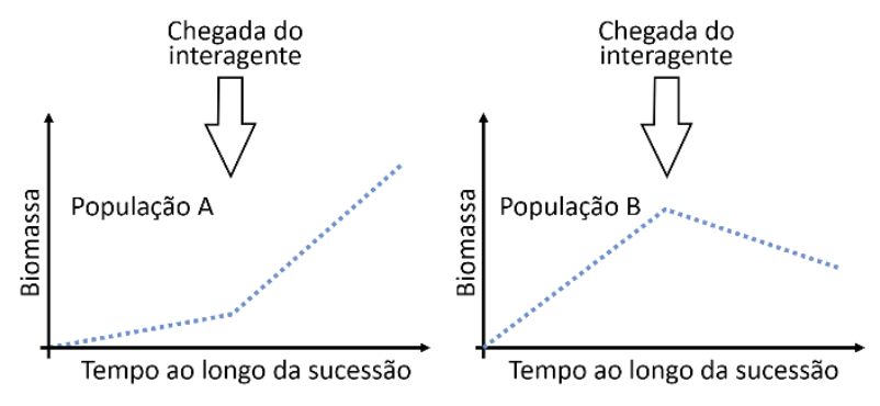 Dois gráficos de Biomassa versus Tempo ao longo da sucessão. Para a População A, a biomassa cresce com inclinação suave e, após a chegada do interagente indicada por uma seta, passa a crescer com inclinação bem mais acentuada. Para a População B, a biomassa vinha crescendo com inclinação moderada e, após a chegada do interagente, passa a diminuir.