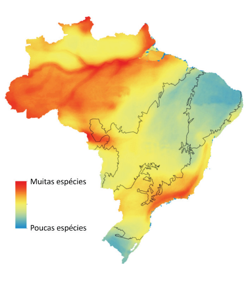Mapa do Brasil mostrando a distribuição de espécies de aves por meio de uma escala de cores, variando de azul (poucas espécies) passando por amarelo até vermelho (muitas espécies), com linhas pretas delimitando os biomas brasileiros.