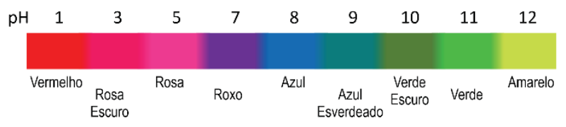 Escala horizontal de pH com as cores do extrato de repolho roxo: pH 1 (Vermelho), pH 3 (Rosa Escuro), pH 5 (Rosa), pH 7 (Roxo), pH 8 (Azul), pH 9 (Azul Esverdeado), pH 10 (Verde Escuro), pH 11 (Verde) e pH 12 (Amarelo).