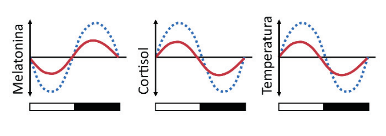 Três gráficos de curvas senoidais representando Melatonina, Cortisol e Temperatura corpórea ao longo do dia e da noite, com barras inferiores indicando o dia (claro) e a noite (escuro). Em cada gráfico, a linha pontilhada azul (jovens) apresenta amplitude maior do que a linha contínua vermelha (idosos).