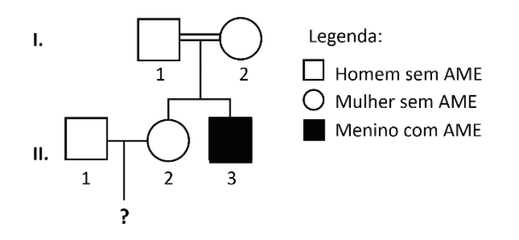 Heredograma representando duas gerações (I e II). Em I, há um casal consanguíneo sem AME formado pelo homem 1 e pela mulher 2. Em II, seus filhos são a mulher sem AME (2) e o menino com AME (3). A mulher II.2 forma um casal com o homem sem AME II.1, gerando uma prole indicada por uma interrogação (?). Legenda ao lado: quadrado branco para "Homem sem AME", círculo branco para "Mulher sem AME" e quadrado preto para "Menino com AME".