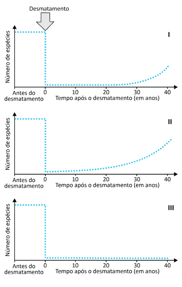 Três gráficos (I, II e III) com o eixo vertical indicando o "Número de espécies" e o eixo horizontal indicando o "Tempo após o desmatamento (em anos)", com marcação "Antes do desmatamento" e escala de 0 a 40 anos. Uma seta aponta para o instante 0 indicando "Desmatamento". Antes do desmatamento, o número de espécies é alto e cai bruscamente no instante 0 em todos os gráficos. No gráfico I, o número permanece próximo a zero até cerca de 25 anos, subindo suavemente até os 40 anos. No gráfico II, o número de espécies começa a aumentar gradualmente logo após o desmatamento, acelerando o crescimento até os 40 anos e atingindo um patamar mais elevado. No gráfico III, o número de espécies cai no instante 0 e permanece em nível mínimo constante até os 40 anos.