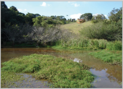 Fotografia de uma área alagada com vegetação baixa e água calma em primeiro plano, vegetação arbustiva e, ao fundo em elevação suave de pastagem, uma casa de cor ocre.
