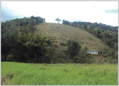 Fotografia de um morro com pastagem central delimitada por mata nas laterais, com vegetação de gramíneas verdes em primeiro plano e uma pequena casa na base da encosta.