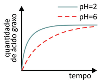Gráfico de quantidade de ácido graxo versus tempo: as curvas para pH=2 e pH=6 partem da origem (zero) e aumentam até o mesmo valor no equilíbrio, sendo que a curva de pH=2 (linha contínua) cresce mais rapidamente do que a curva de pH=6 (linha tracejada).