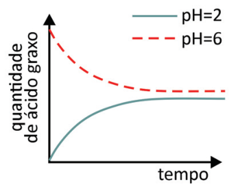 Gráfico de quantidade de ácido graxo versus tempo: a curva de pH=2 parte do zero e cresce com o tempo, enquanto a curva de pH=6 parte de um valor inicial alto e decresce.