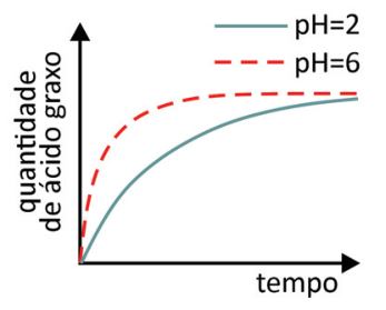 Gráfico de quantidade de ácido graxo versus tempo: as curvas para pH=2 e pH=6 partem do zero e aumentam até o mesmo patamar, sendo que a curva de pH=6 (linha tracejada) cresce mais rapidamente do que a curva de pH=2 (linha contínua).