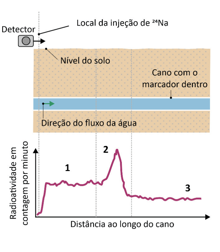 Esquema da detecção de radioatividade ao longo de um cano de água subterrâneo e o gráfico correspondente. Na parte superior, um detector se move sobre o nível do solo a partir do local de injeção de sódio-24, acima de um cano com o marcador dentro, onde a água flui para a direita. Na parte inferior, o gráfico de radioatividade em contagem por minuto em função da distância ao longo do cano é dividido em três trechos: o trecho 1 tem nível intermediário aproximadamente constante; o trecho 2 apresenta um pico elevado de radioatividade; o trecho 3 tem um patamar de radioatividade menor que o do trecho 1.