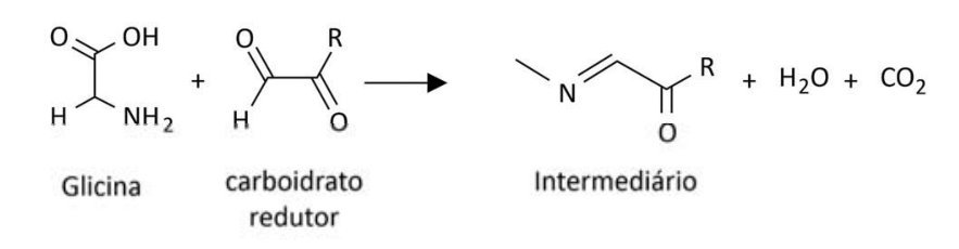 F1 Esquema da reação entre a glicina e um carboidrato redutor gerando um intermediário imínico, com liberação de água e dióxido de carbono