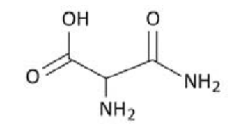 F3 Fórmula estrutural contendo uma carboxila e uma amida ligadas a um carbono com grupo amino