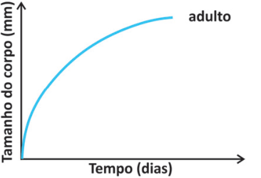 F2 Gráfico de tamanho do corpo versus tempo apresentando curva côncava para baixo com desaceleração do crescimento até a fase adulta.
