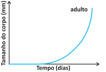 F3 Gráfico de tamanho do corpo versus tempo apresentando curva com crescimento exponencial até a fase adulta.