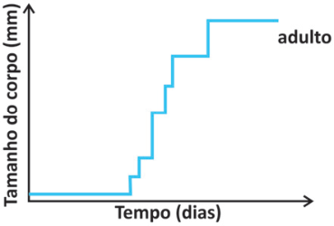F4 Gráfico de tamanho do corpo versus tempo em formato de degraus, característico de mudas (ecdises), até a fase adulta.