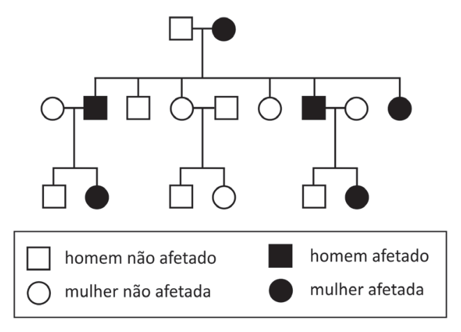 Genealogia de três gerações com uma legenda que indica: quadrado branco para homem não afetado, quadrado preto para homem afetado, círculo branco para mulher não afetada e círculo preto para mulher afetada. Na primeira geração, há um homem não afetado com uma mulher afetada. Na segunda geração, há seis filhos: dois homens afetados, um homem não afetado, duas mulheres não afetadas e uma mulher afetada. Os dois homens afetados tiveram, cada um, com uma mulher não afetada, um filho não afetado e uma filha afetada. Uma das mulheres não afetadas teve com um homem não afetado um filho e uma filha não afetados.