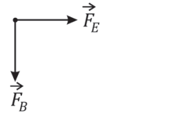 Vetor F_E apontando horizontalmente para a direita e vetor F_B apontando verticalmente para baixo a partir do mesmo ponto.