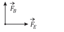 Vetor F_B apontando verticalmente para cima e vetor F_E apontando horizontalmente para a direita a partir do mesmo ponto.
