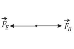 Vetor F_E apontando horizontalmente para a esquerda e vetor F_B apontando horizontalmente para a direita em sentidos opostos a partir do mesmo ponto.
